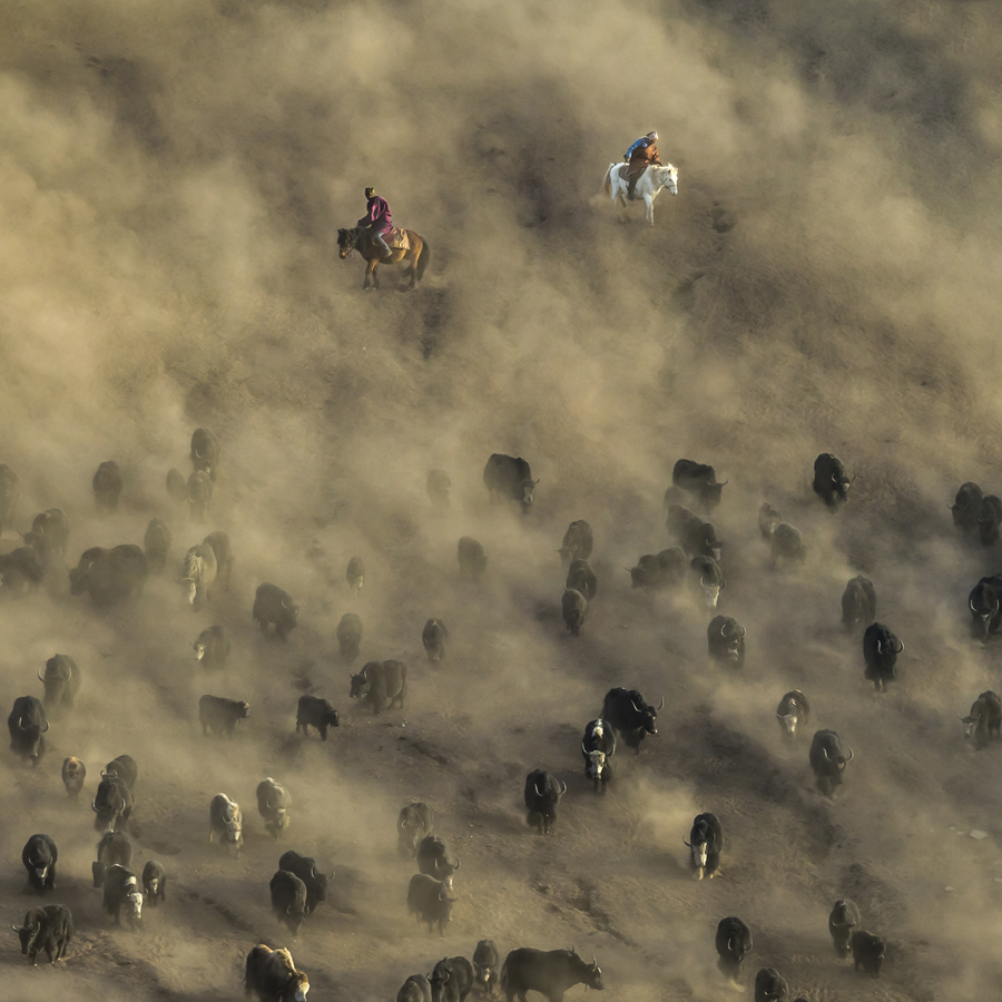 “雪山大地·影像季”参赛作品展（十九）