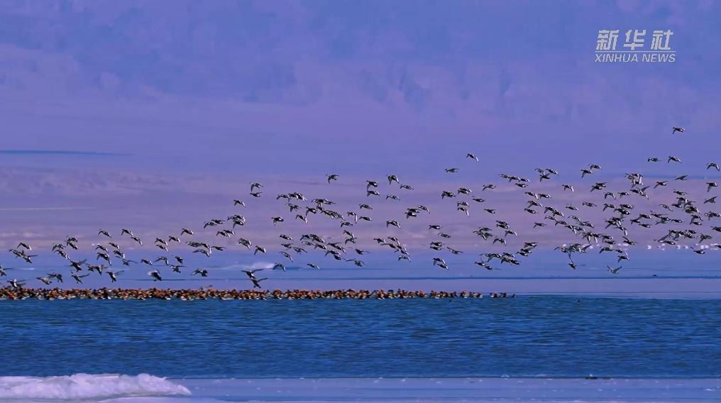 秀我中國｜青?？婶斂撕叭绠?></a></li><li style=