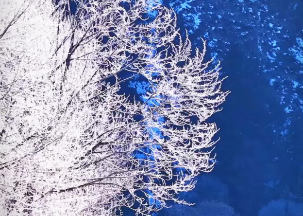 长江源头:玛可河迎来雾凇景观