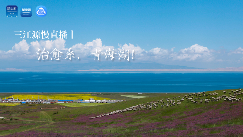 三江源慢直播丨治愈系，青海湖！